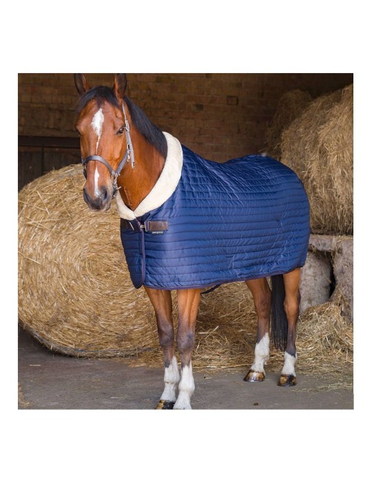 Chemise teddy de box mar. - EQUITHEME