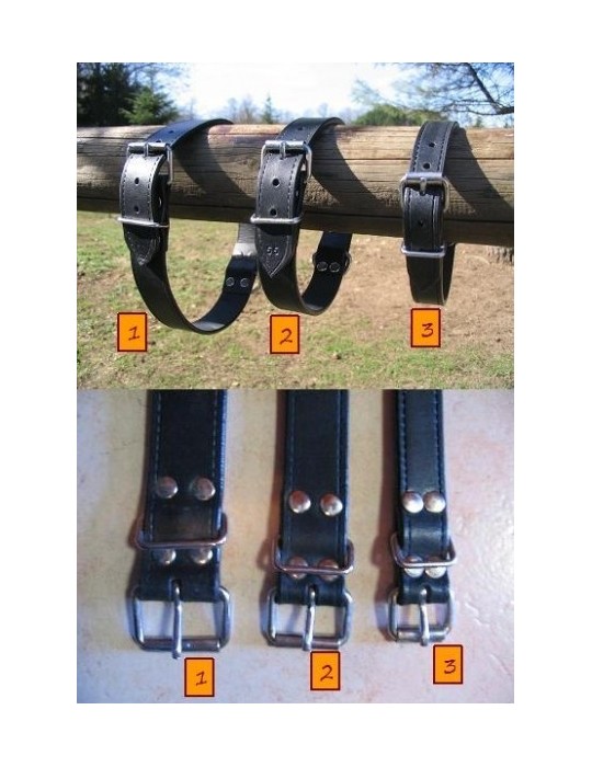 Collier de chien en cuir de buffle