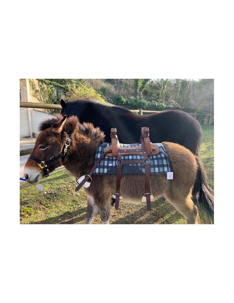 Bât pour âne, avec 4 sangles à brins. Plus ponté de fixation croupière