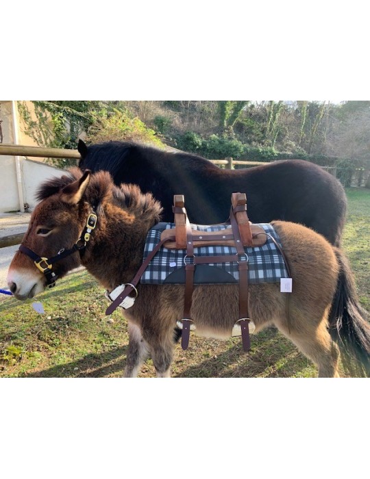 Bât pour âne, avec 4 sangles à brins. Plus ponté de fixation croupière