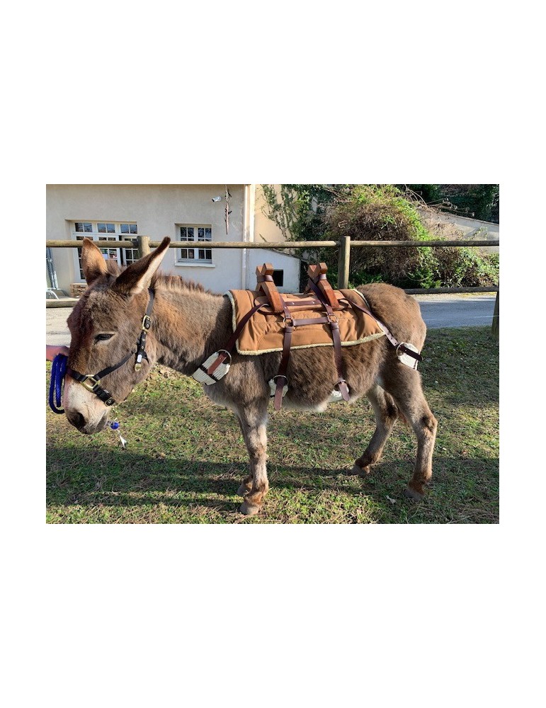 Bât pour âne, avec 4 sangles à brins. Plus ponté de fixation croupière
