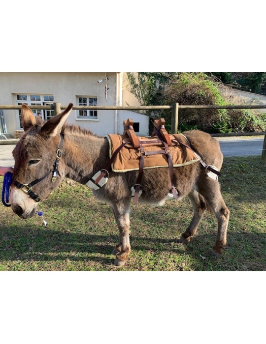 Bât pour âne, avec 4 sangles à brins. Plus ponté de fixation croupière