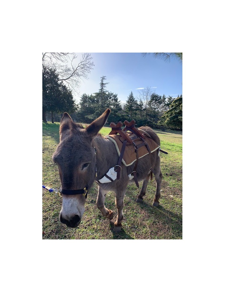 Bât pour âne, avec 4 sangles à brins. Plus ponté de fixation croupière