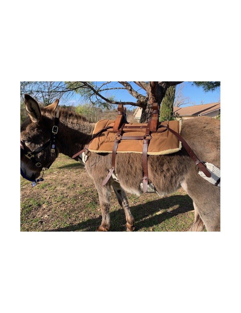 Bât pour âne, avec 4 sangles à brins. Plus ponté de fixation croupière