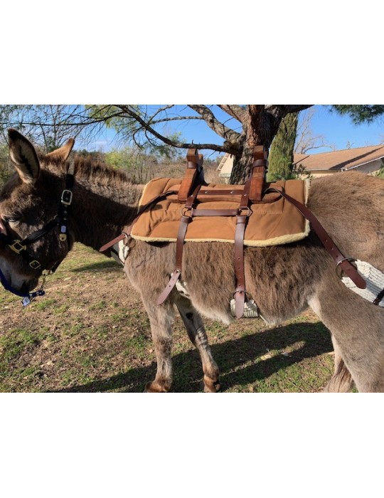 Bât pour âne, avec 4 sangles à brins. Plus ponté de fixation croupière
