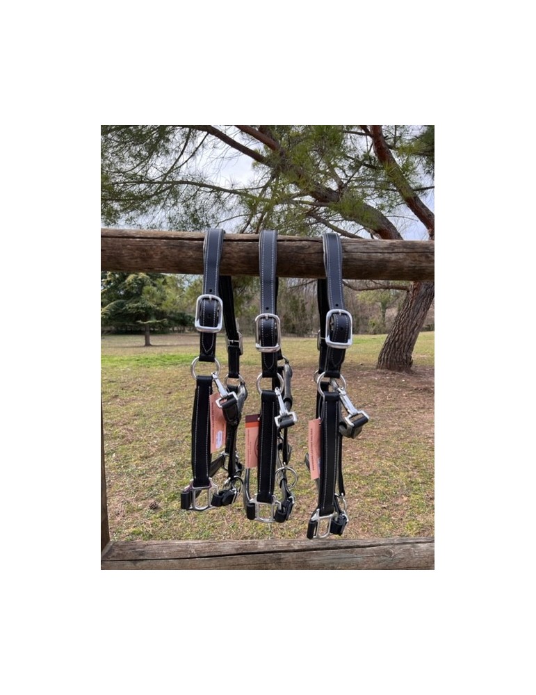 Licol en cuir doublé Large SB