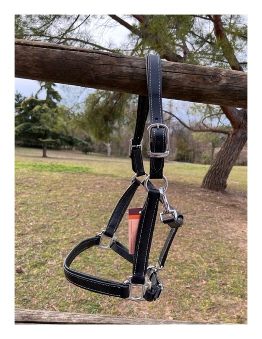 Licol en cuir doublé Large SB