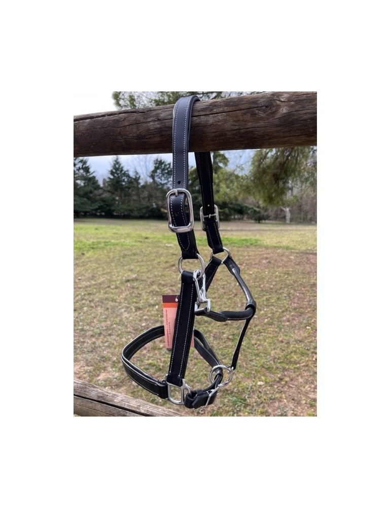 Licol en cuir doublé Large SB