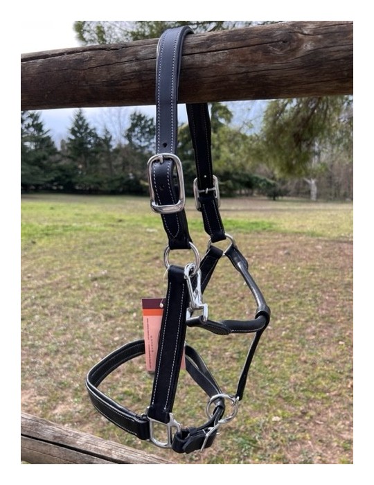 Licol en cuir doublé Large SB