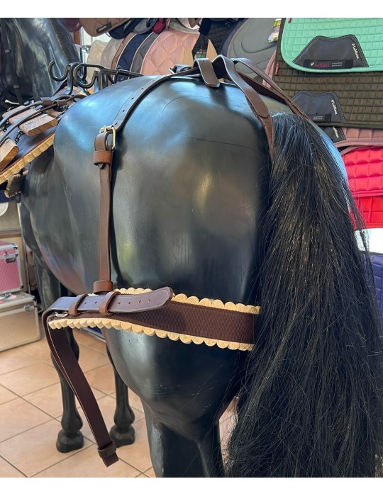 Avaloir et croupière de bat