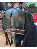Avaloir et croupière de bat