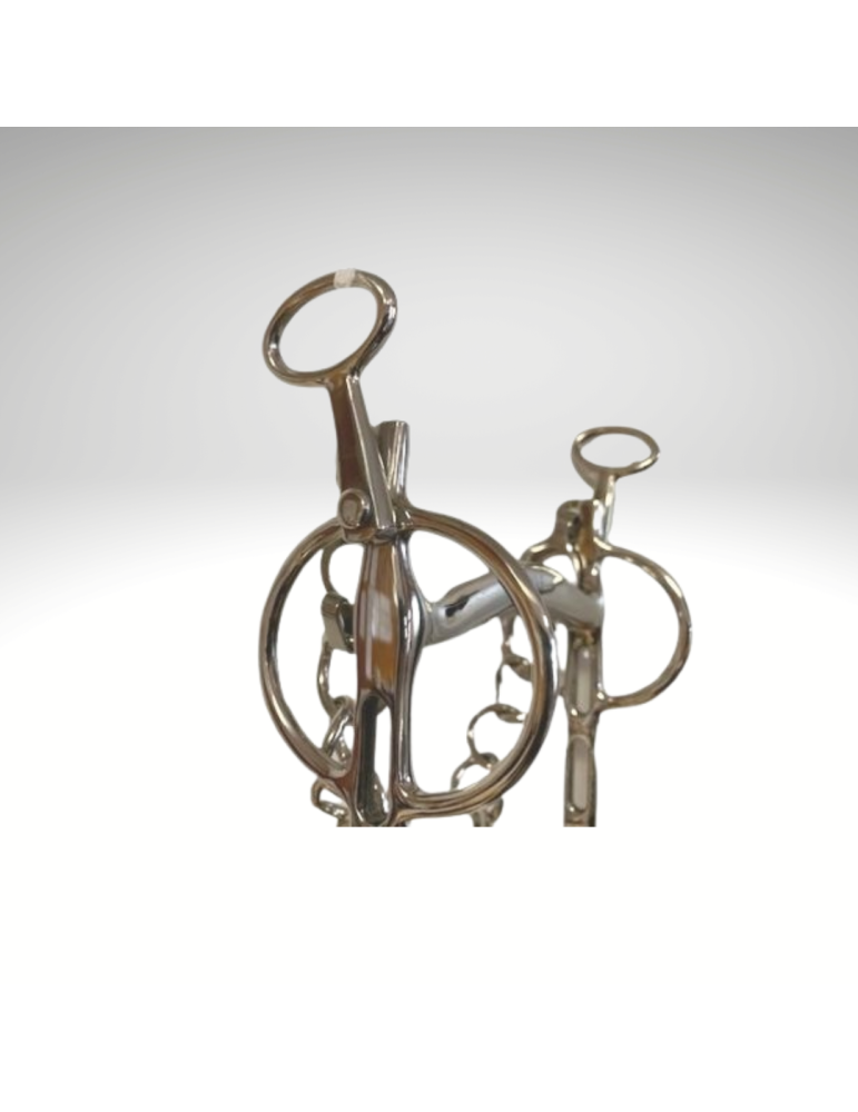 Liverpool à tulipes mobiles - SB