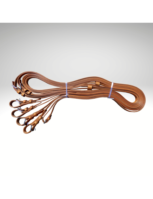 Guides cuir en paire