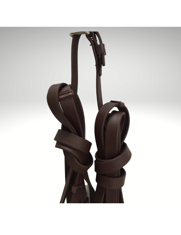 Guide en simple en biothane