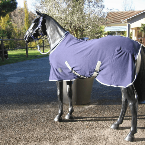 Chemise séchante SB 2