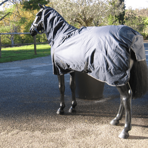 Couverture 350g full-neck SB