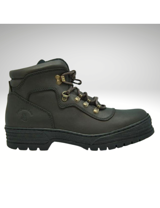 Chaussures Falcon SB Chaussures Falcon SB