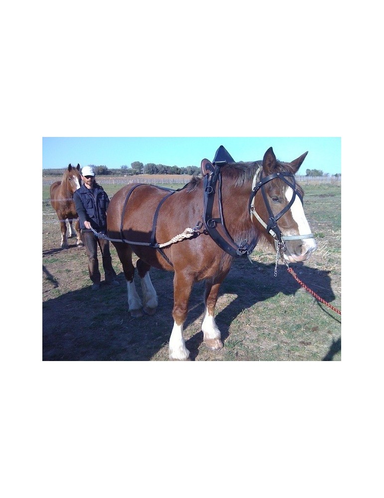 Traits de débardage avec croupière