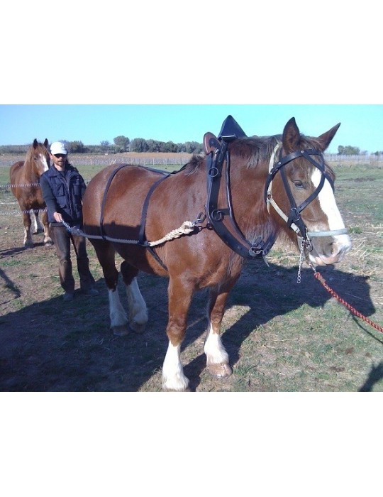 Traits de débardage avec croupière