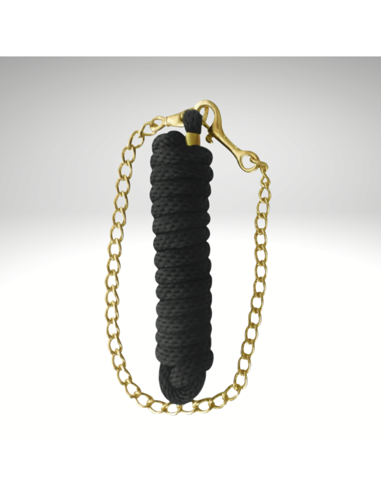 Longe de présentation