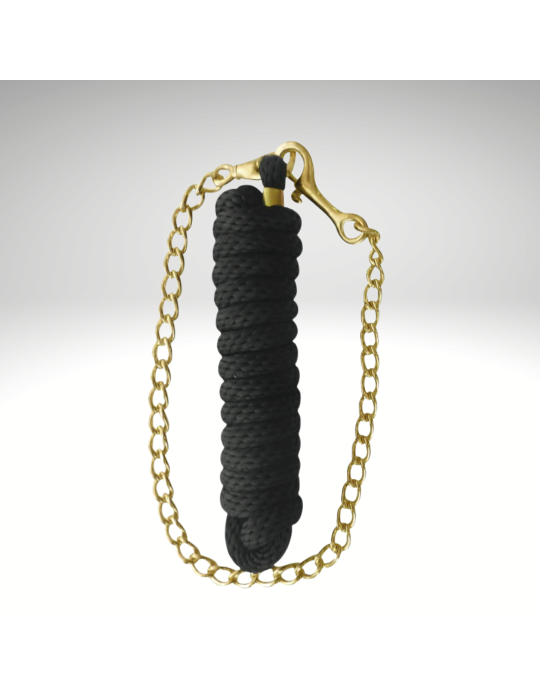 Longe de présentation