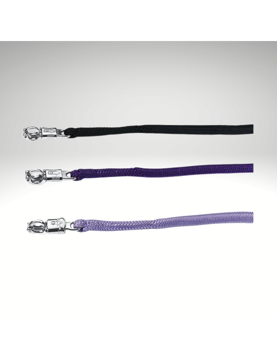 Longe attache anti renard