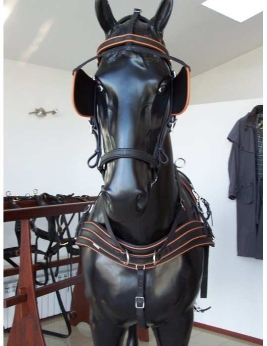 Harnais biothane trait - SB