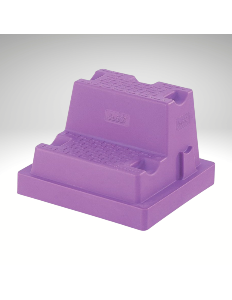 Montoir EASYSTEP 2 marches