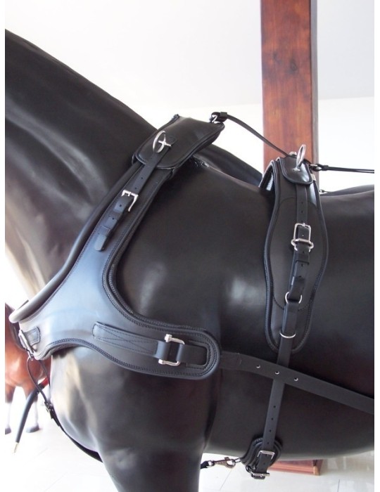 Harnais biothane trait - SB