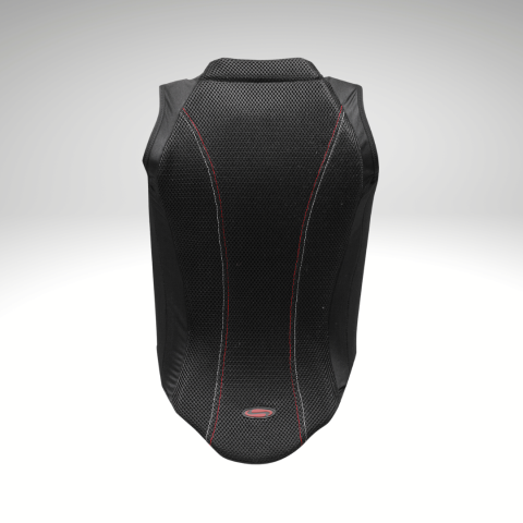 Protection dorsale P07 WALDAUSEN 2