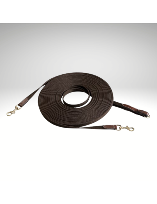 Longues rênes pro ERIC THOMAS