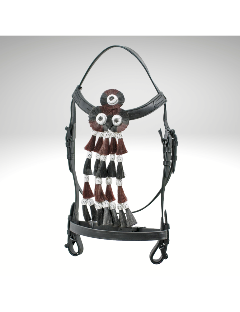 Bridon JM avec mosquero