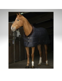 Couverture écurie Teddy EQUITHÈME