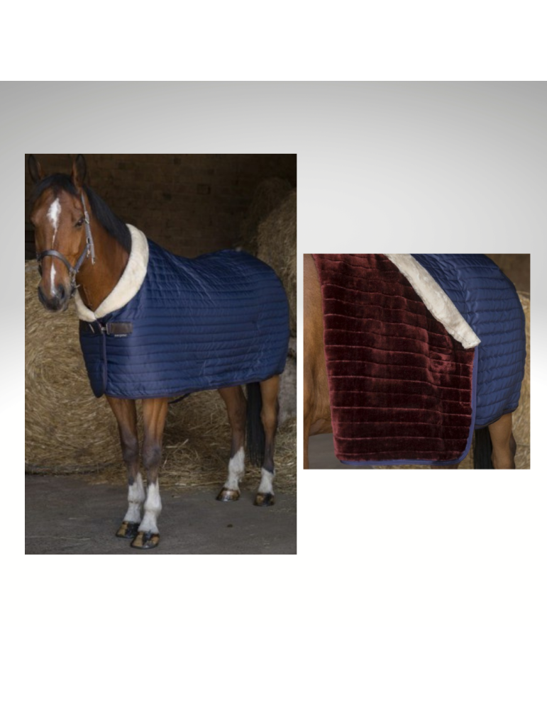 Couverture box TEDDY