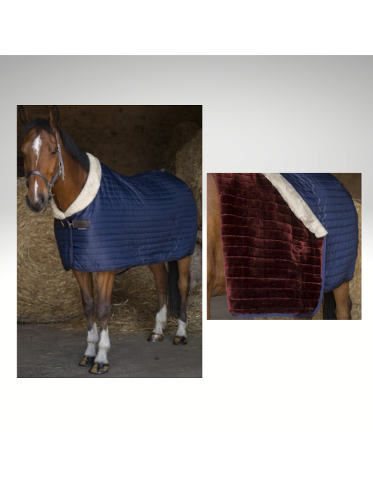 Couverture box TEDDY