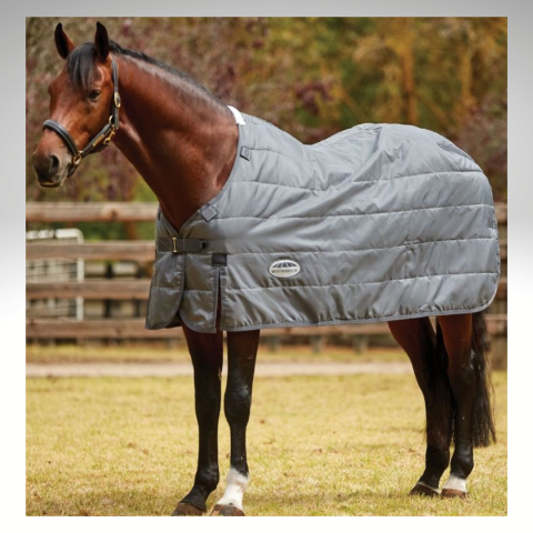 Couverture imperméable, Buster 420gr - Premier Equine – Crin d'élégance  Sellerie