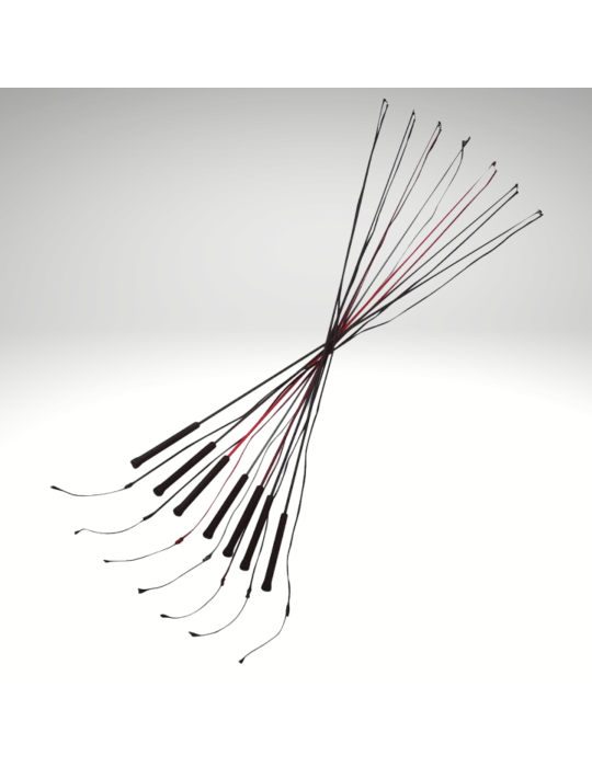 Chambrière WHIP & GO