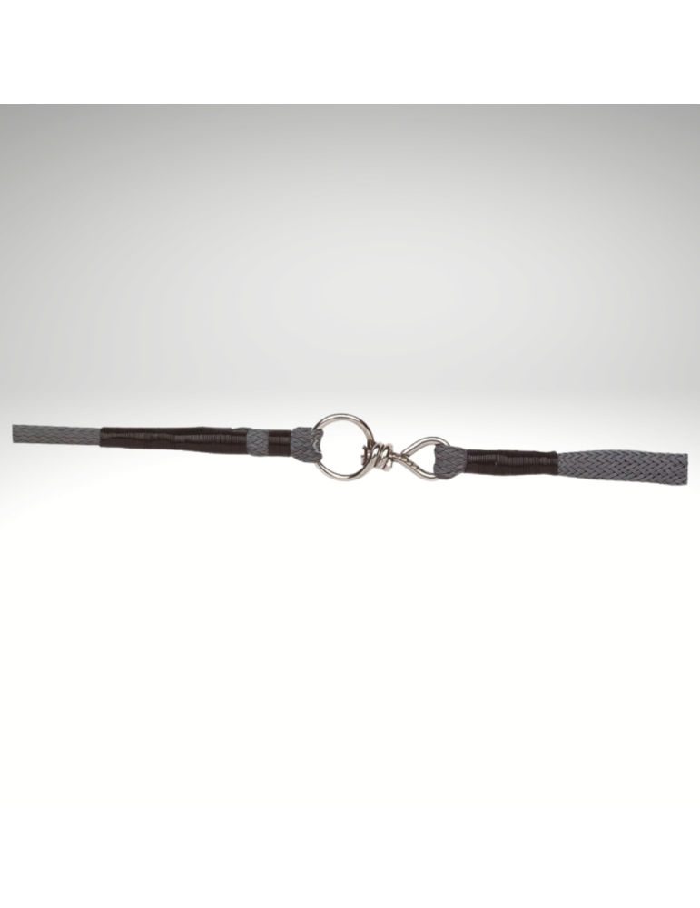 Chambrière WHIP & GO