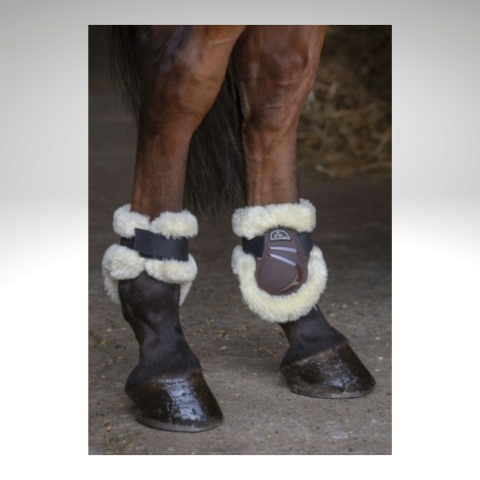 Protège boulets XTR mouton 2