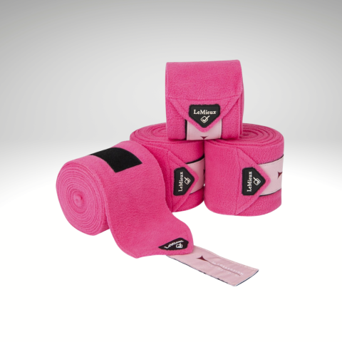 Bandes de polo Loire LEMIEUX 2