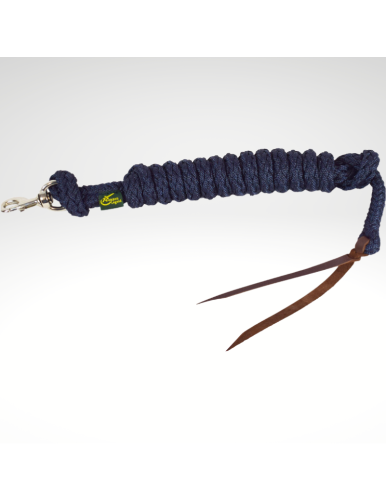 Longe poly. démontable Ronzon