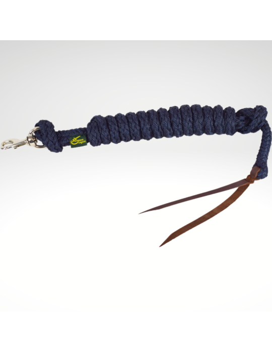 Longe poly. démontable Ronzon