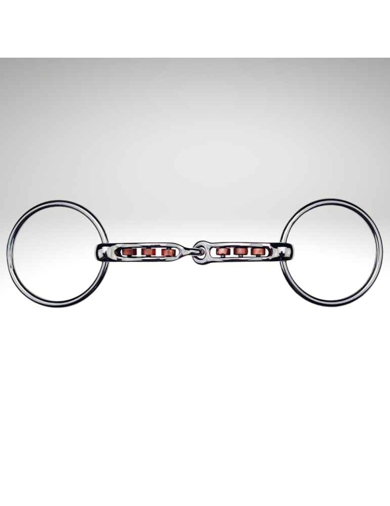 Mors 2 ann. MAC GENIS