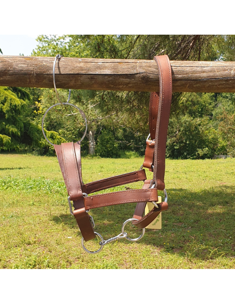 Licol d'artillerie (boucle à droite)