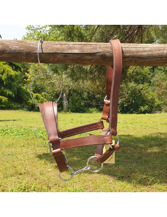 Licol d'artillerie (boucle à droite)