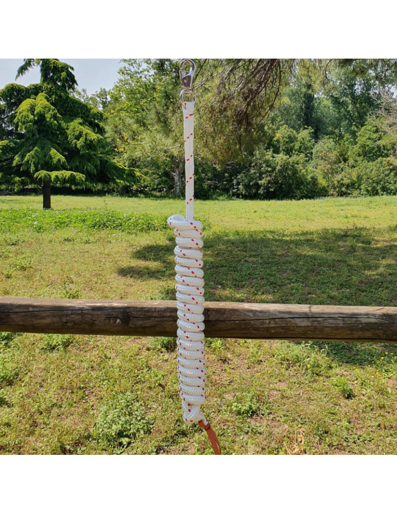 Longe éthologique SB