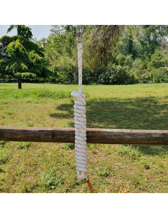 Longe éthologique SB