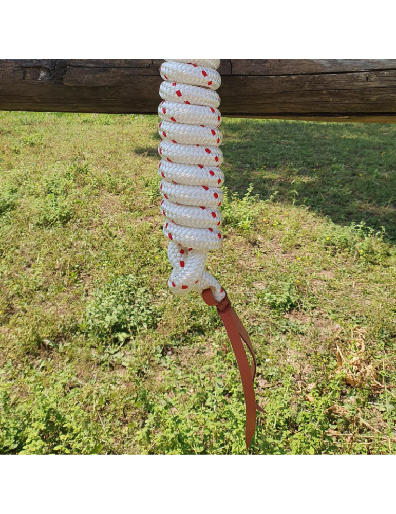 Longe éthologique SB