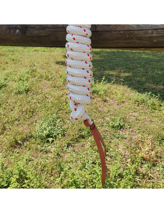 Longe éthologique SB