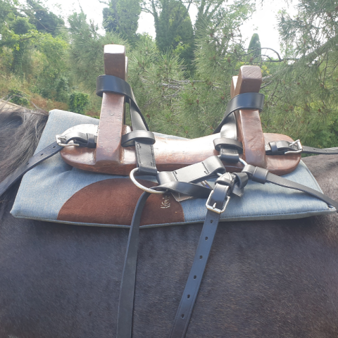 Bât en cuir pour âne 2